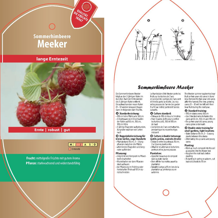Picture labels - Rubus idaeus 'Meeker'