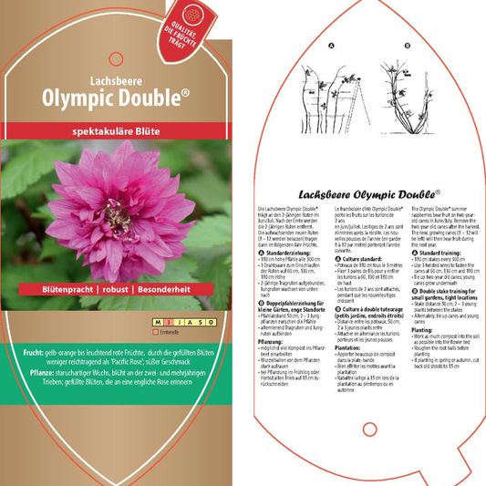 Bildetiketten - Rubus spec. 'Olympic Double'
