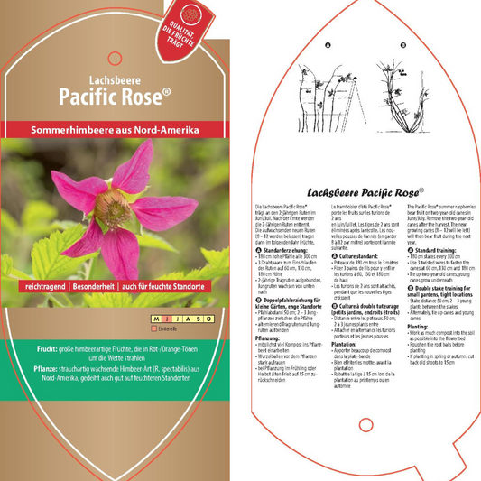 Picture labels - Rubus spec. 'Pacific Rose'