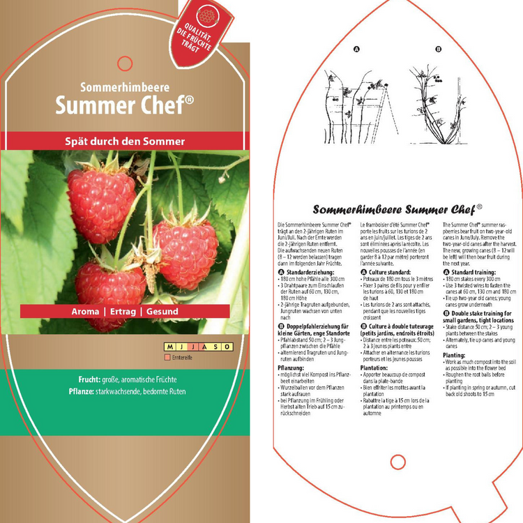 Bildetiketten - Rubus idaeus 'Summer Chef®'