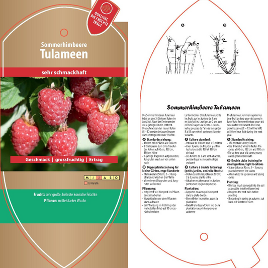 Image labels - Rubus idaeus 'Tulameen'
