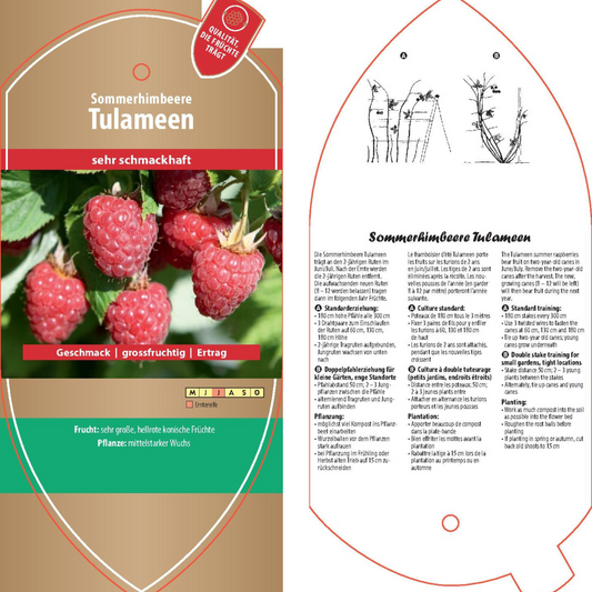 Bildetiketten - Rubus idaeus 'Tulameen'