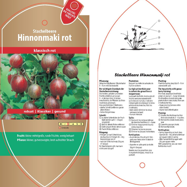 Picture labels - Ribes uva-crispa 'Hinnonmaki red'