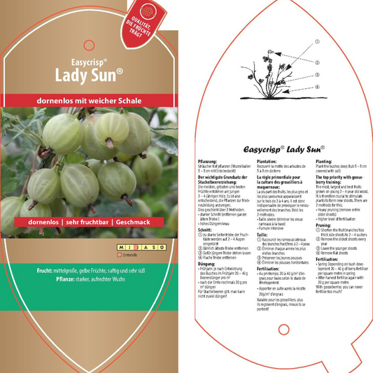 Picture labels - Ribes uva-crispa Easycrisp® 'Lady Sun®'
