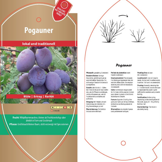 Bildetiketten - Prunus dom. 'Pogauner'