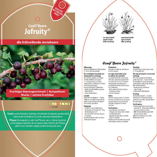 Picture labels - Ribes x nidigr. Confi®berry 'Jofruity®'