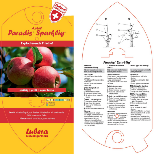 Bildetiketten - Malus dom. Paradis® 'Sparkling®'