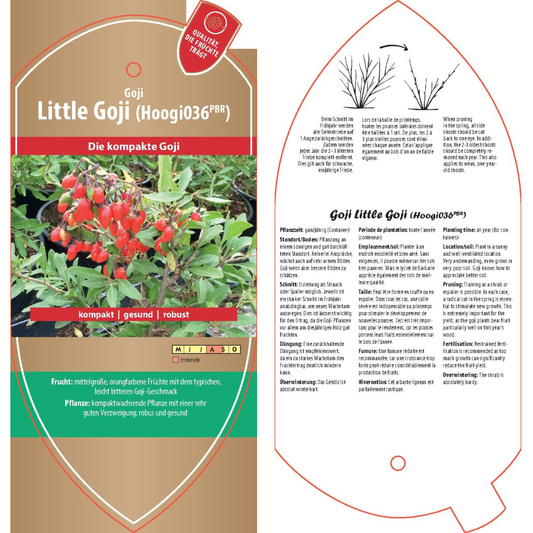 Bildetiketten - Lycium 'Little Goji'