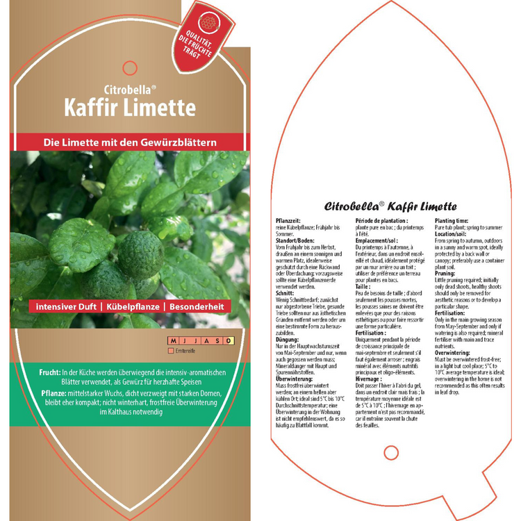 Image Labels - Citrus hystrix 'Kaffir Lime'