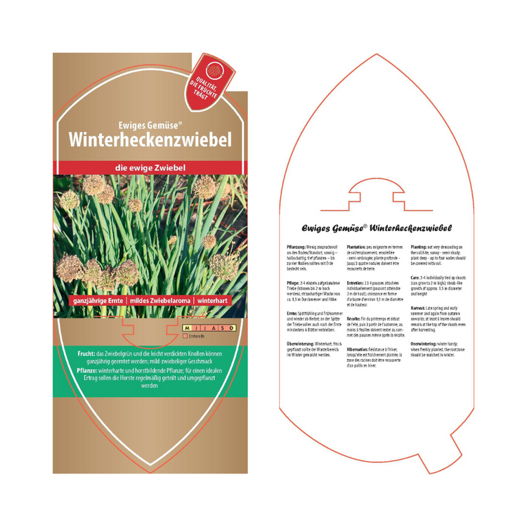Image Labels - Allium fistolosum 'Winter Hedge Onion'