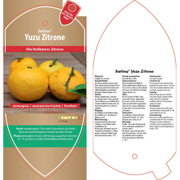 Picture labels - Citrus x junos 'Yuzu'