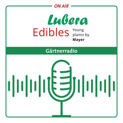 Lubera Edibles Podcast #21: Gardener's talk: How do I produce strawberries in pots?