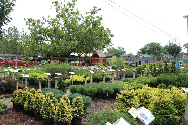 Gartencenter, USA