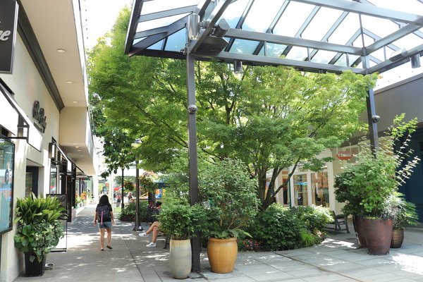 Shoppingmall, Mall mit Pflanzen, USA, Pflanzen im urbanen Raum